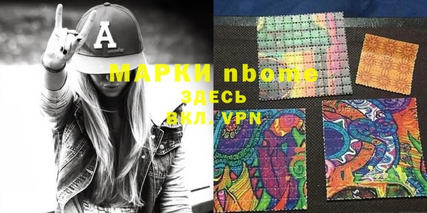 прущие грибы Абаза
