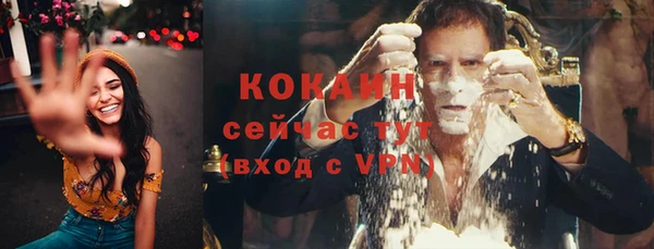 прущие грибы Абаза