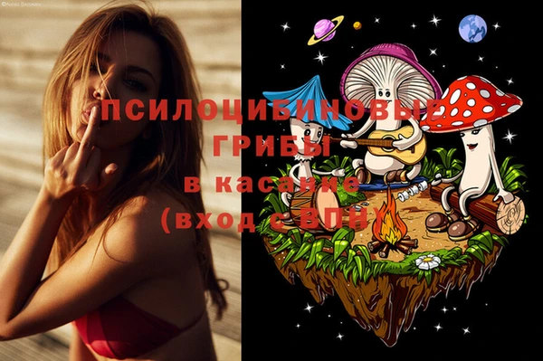сатива Абинск