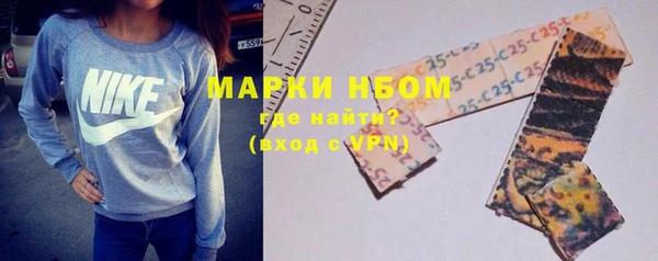прущие грибы Абаза