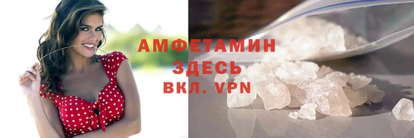 прущие грибы Абаза