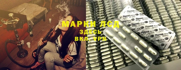 прущие грибы Абаза