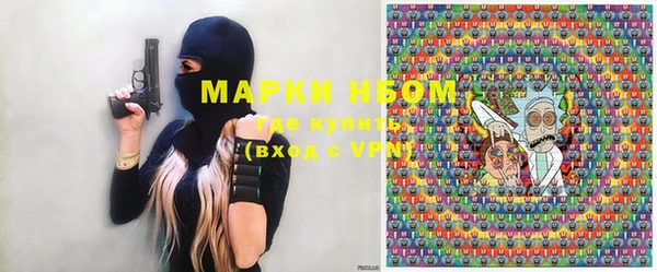 прущие грибы Абаза