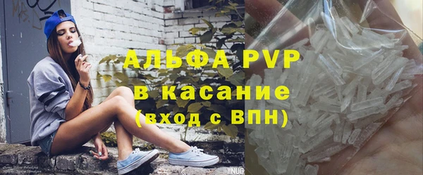 сатива Абинск