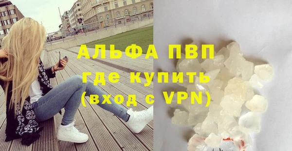 прущие грибы Абаза