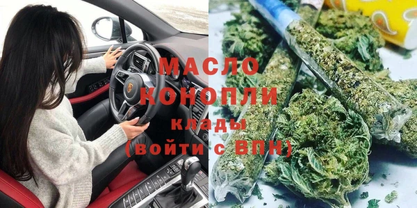 прущие грибы Абаза