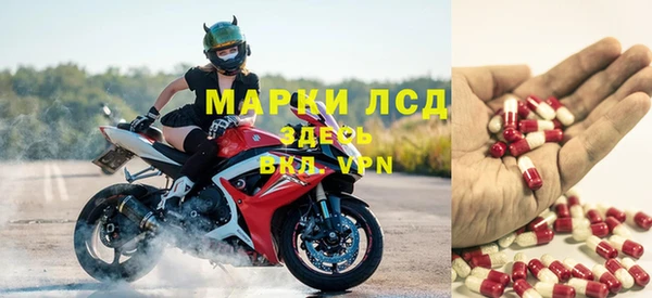 прущие грибы Абаза