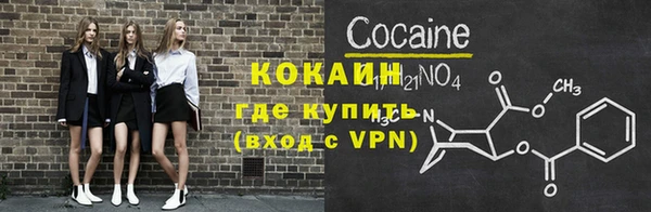 прущие грибы Абаза