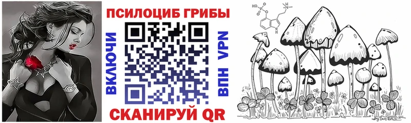 где продают наркотики  Ангарск  Псилоцибиновые грибы MAGIC MUSHROOMS 