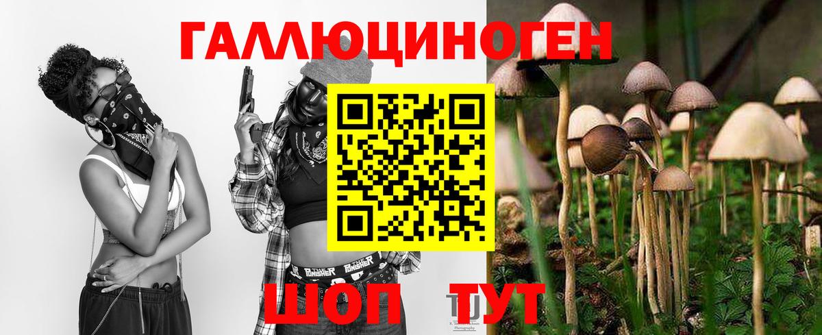 Псилоцибиновые грибы мухоморы  закладки  Ангарск  Вход с VPN 